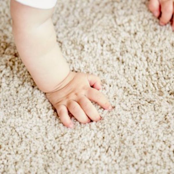 What Is the Average Cost of Carpet Cleaning in Marana, AZ?