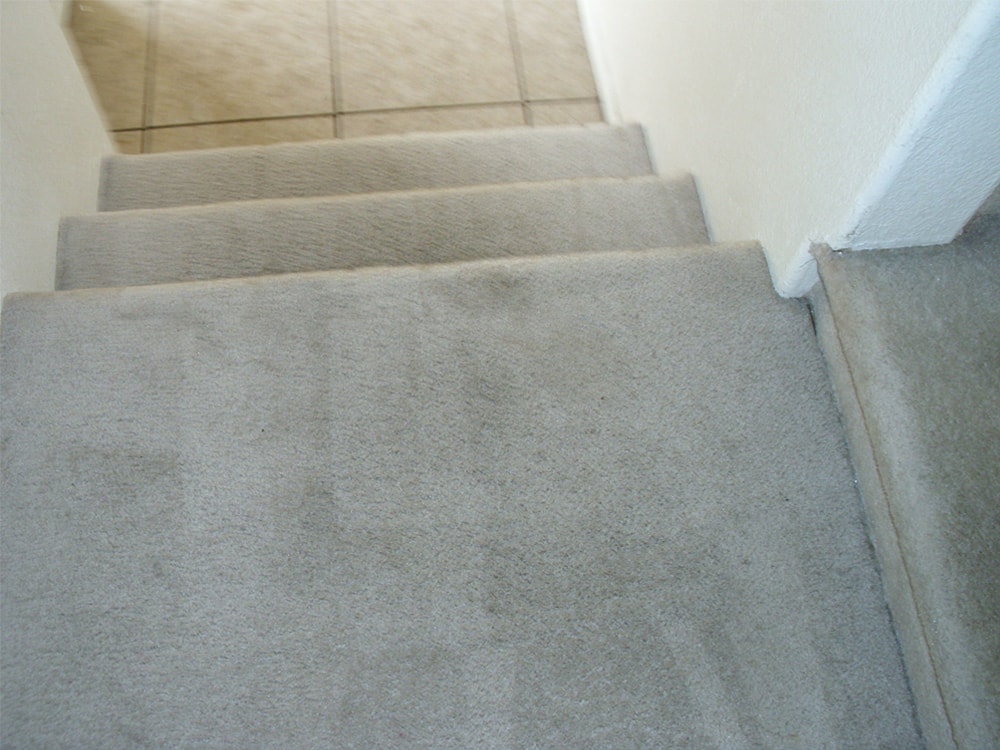 1 For Carpet Cleaning in Green Valley, AZ Get 2 Rooms For Only 90!