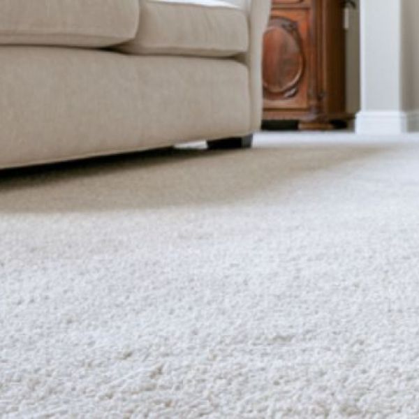 why-high-traffic-areas-of-carpet-wear-out-faster